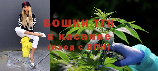 мдпв Елабуга