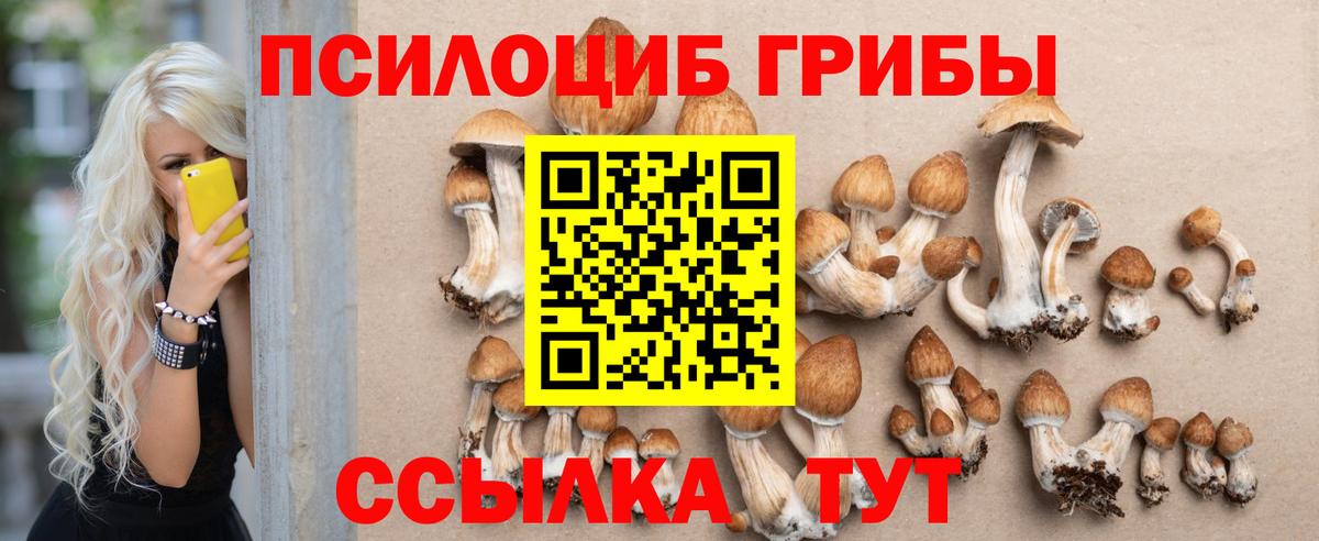 Рузаевка  Галлюциногенные грибы мицелий  Вход с VPN 
