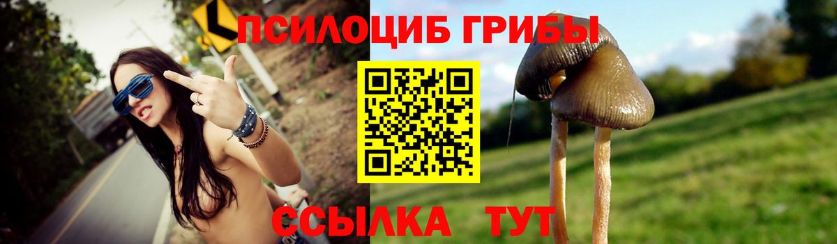 Галлюциногенные грибы Magic Shrooms Рузаевка